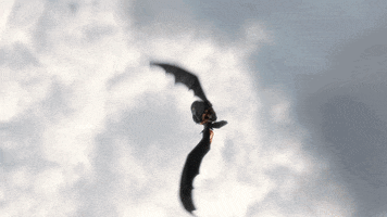 freefall httyd 2 GIF by How To Train Your Dragon