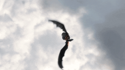 toothless gif httyd2