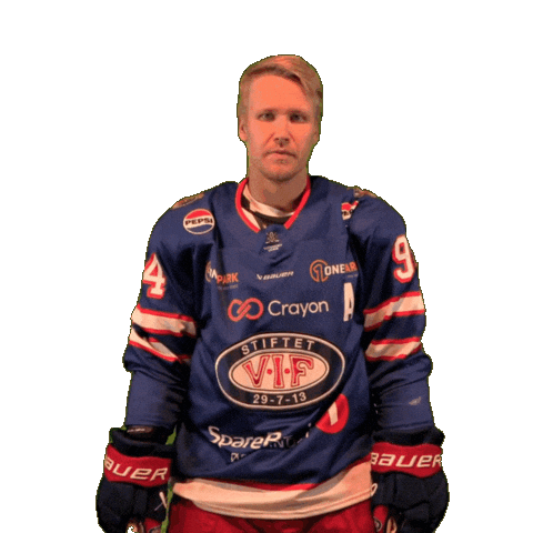 Goal Win Sticker by VIF Hockey