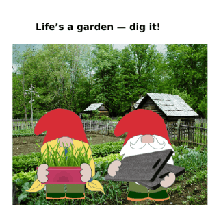 Garden Gnome GIF