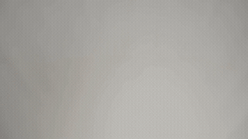 Chipulios GIF