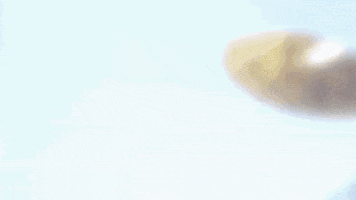 Supersonic Finance GIF