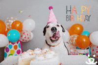 Birthday-best-friend GIFs - Find & Share on GIPHY