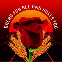 May Day Rose GIF by INTO ACT!ON