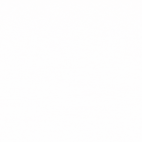 She's In Roofing GIF