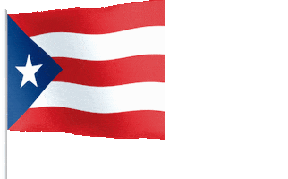 Puerto Rico Flag Sticker By Prv Audio