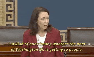 Maria Cantwell GIF by GIPHY News