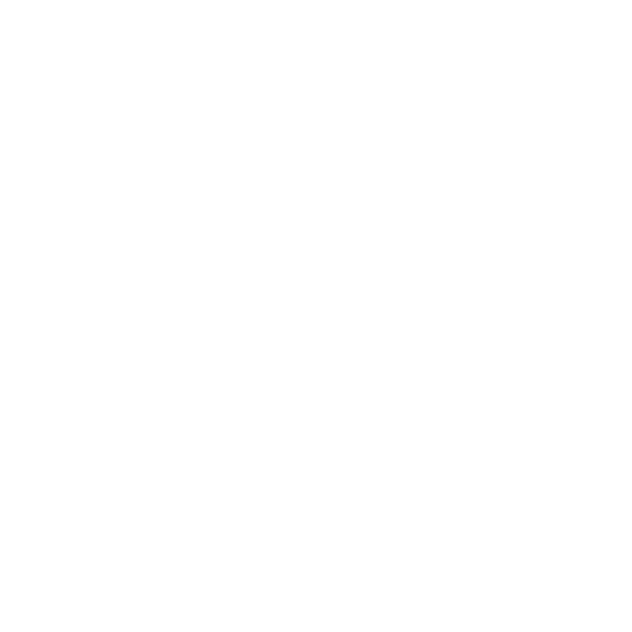 Corsa Performance Sticker