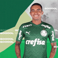 Felipe Melo GIF by SE Palmeiras - Find & Share on GIPHY
