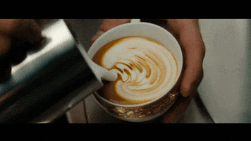 peterlarsenkaffe GIF