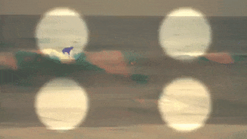 200.gif?cid=fc005b08e0e68115aa88fa3b3cb967a013fb63f463f63212&rid=200.gif&ct=g