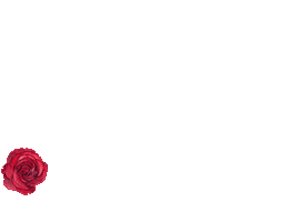 Christmas Roses Sticker by Blumarine