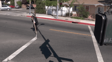 Walking Across The Street Gifs Get The Best Gif On Giphy