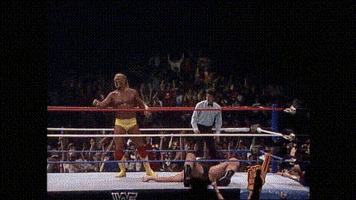 Wwf GIF