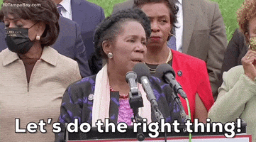 Congressional Black Caucus Lets Do The Right Thing GIF by GIPHY News