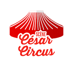 Stage Cesarcircus Sticker by Solidays