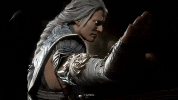 Fujin Mk11 GIF