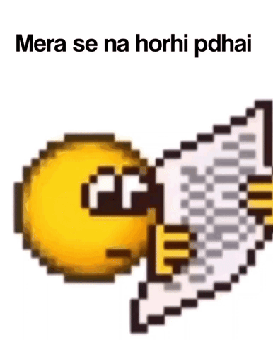 Meme GIF
