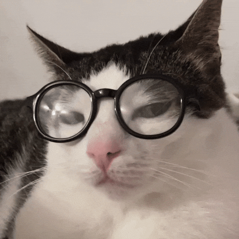 [Image: giphy.gif]