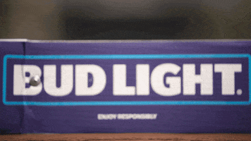 Bud Light Sport GIF by Charleston Battery