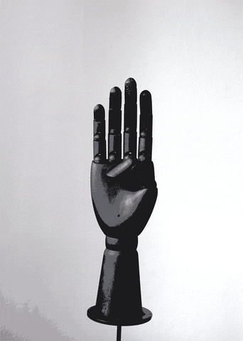 Digital Artist Middle Finger GIF