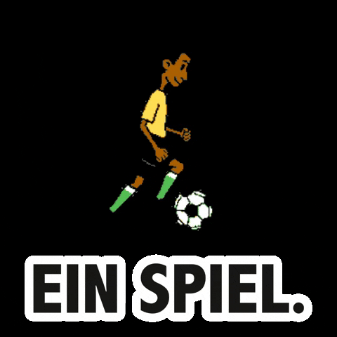 Liechtenstein Football Association GIF