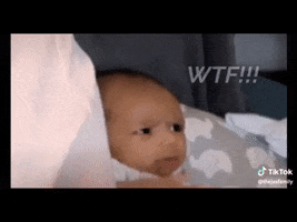 Wtf GIF