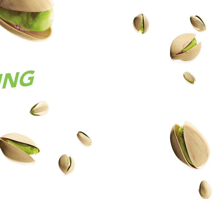 Nuts Sticker by Wonderful Pistachios for iOS & Android GIPHY