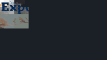 DataExport data export GIF