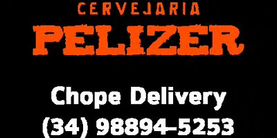 Delivery Festa GIF by Cervejaria Pelizer