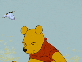 Winnie The Pooh Bear GIF by Disney