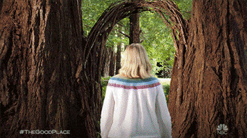 Disappear Season 4 GIF by The Good Place