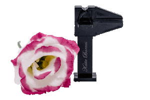 katiebarnesacademy Sticker