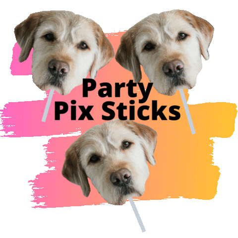 Party Pix Sticks Sticker