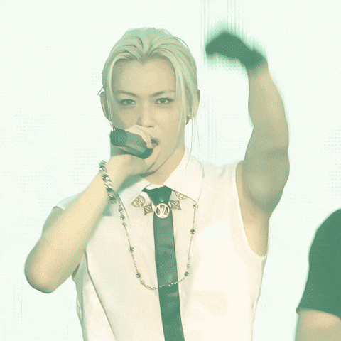 Stray Kids GIF