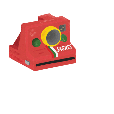 Super Bock Roadtrip Sticker by Cerveja Sagres