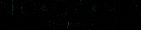 nogamajewelry GIF