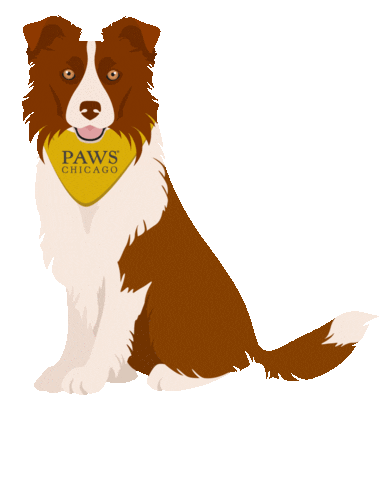 Border Collie Dog Sticker by Merrick Pet Care