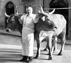 Salumificio Gamba Edoardo GIF