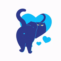 Lovecat Gifs Get The Best Gif On Giphy