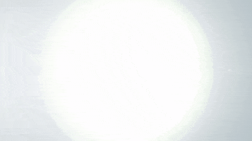 Ballmeisterei GIF