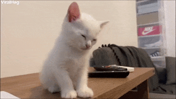 200.gif?cid=fc005b08901635915cb2286a9537520791e1656741e1bd5c&rid=200.gif&ct=g