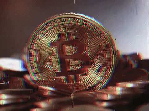 Welcome to This Week in Bitcoin