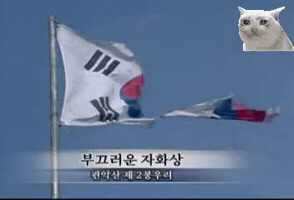 부끄러운자화상태극기 GIF