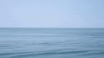 Sea Mar GIF by jorgemariozuleta