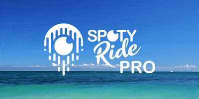 GIF by SPOTYRIDE
