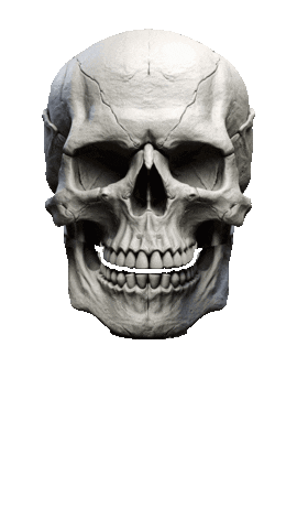 Sokost Sticker by Volker Klärchen