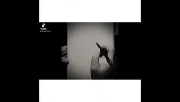 Animation GIF