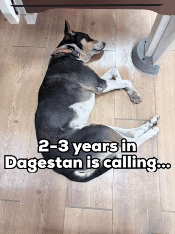 Nlsiu26 GIF