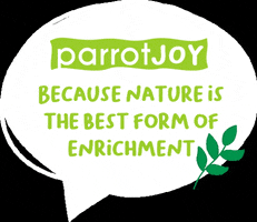 parrotJOY parrotjoy parrot joy GIF